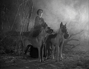 Somebody has been watching Mario Bava