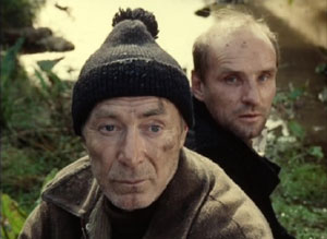 The Scientist and the Writer