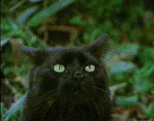 Ms negro que la noche