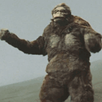 Kong costume from 'Kingu Kongu tai Gojira'