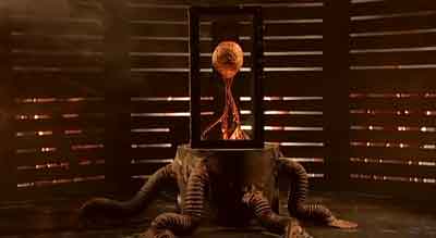 They Saved Bruno's Brain!