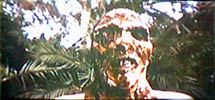 The famous Fulci poster-child.